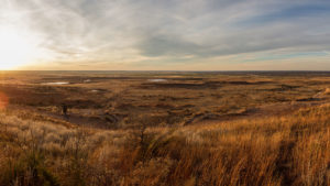 Land Management Program