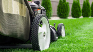 Lawn Services