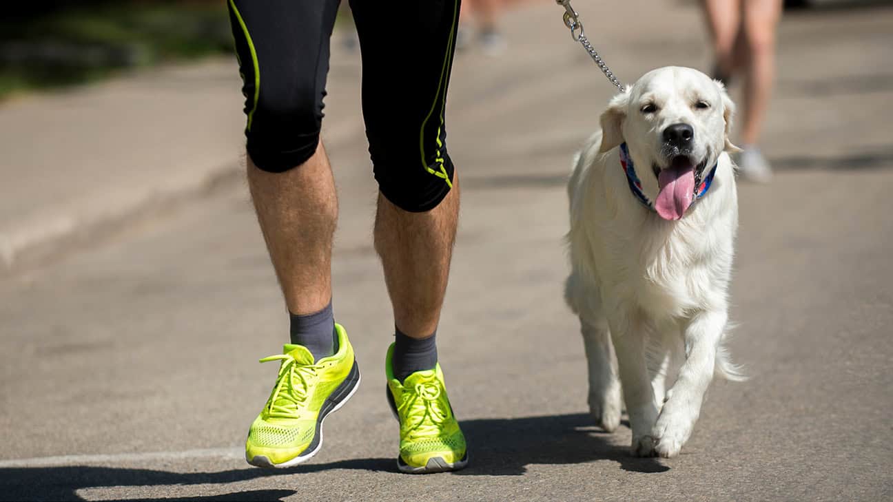 A runner running with a dog on a leash.