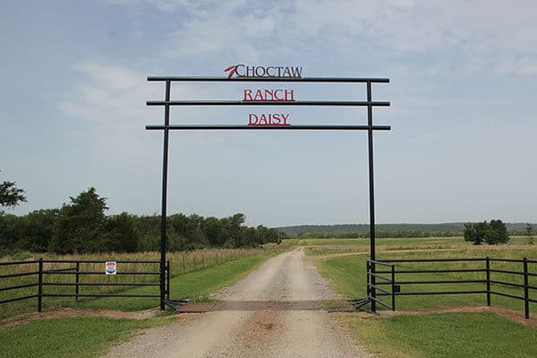 Daisy Ranch