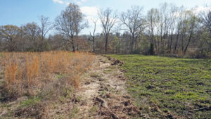 The effect of a March range fire