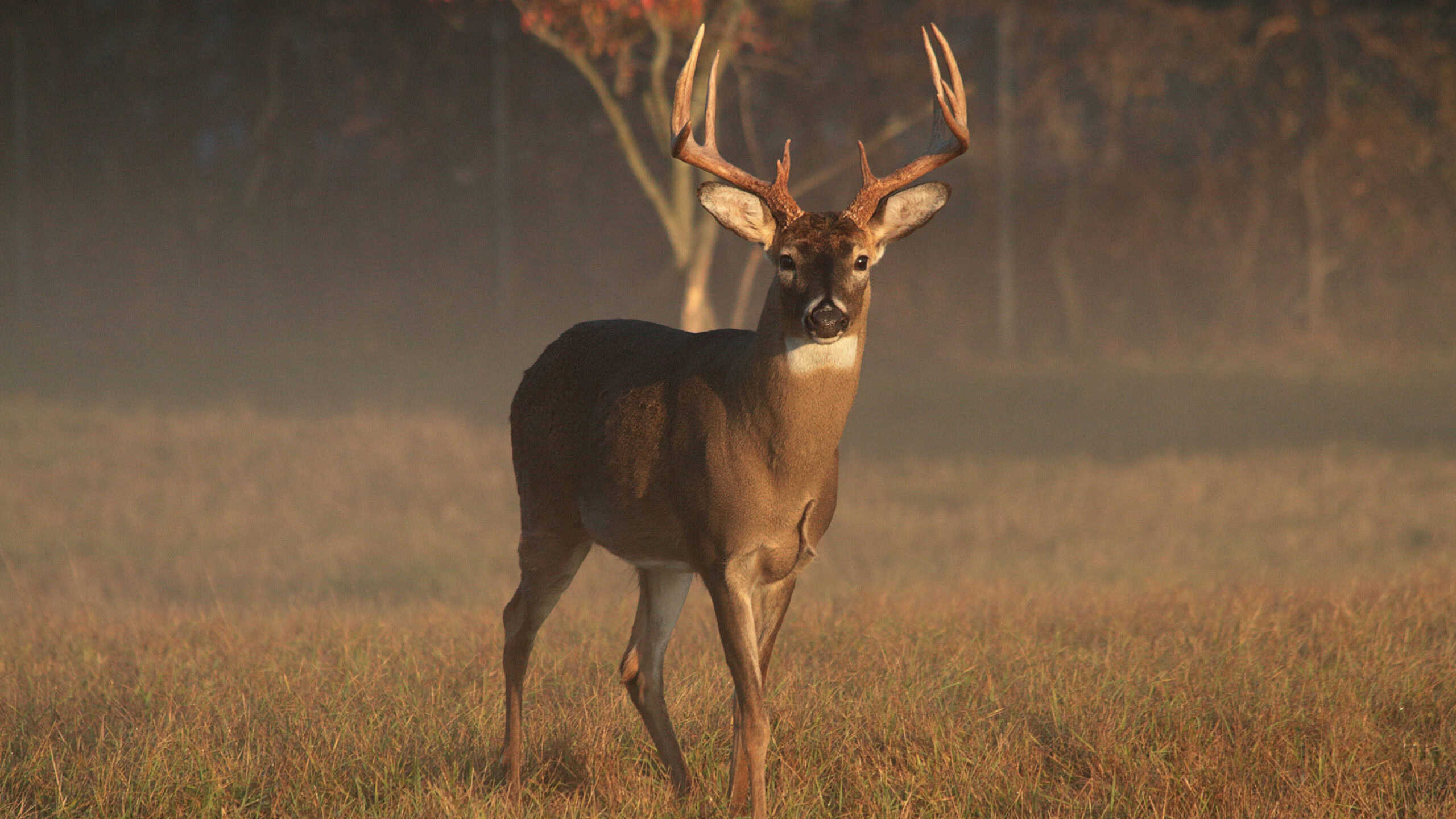 Annual Hunting Lease Auction