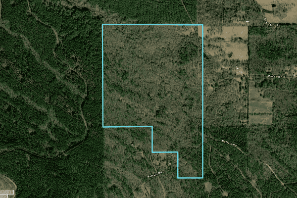 Hettie Gibson 173 Acre plot