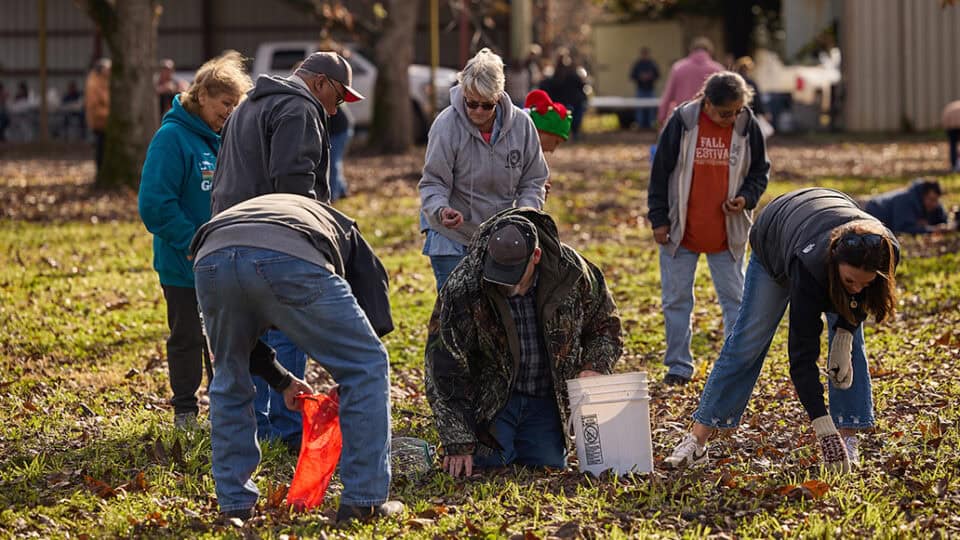 Elders gather pecans